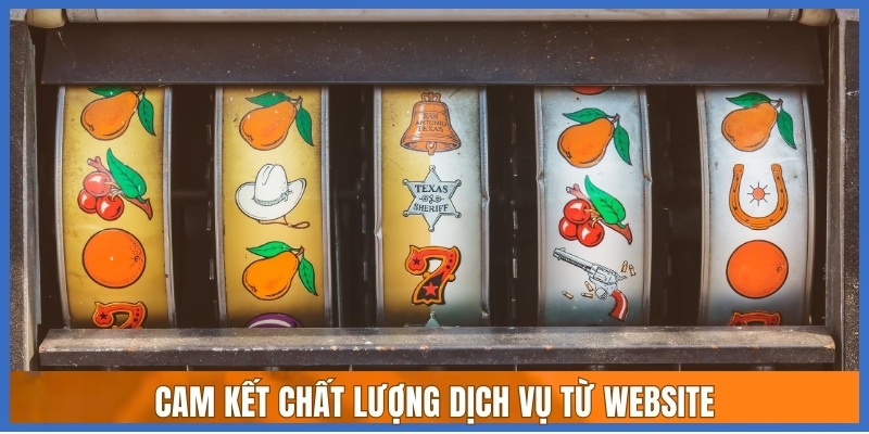 Cam kết chất lượng dịch vụ từ website